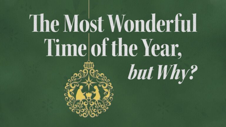 The Most Wonderful Time of the Year