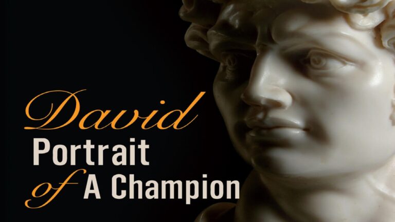 David: Portrait of a Champion