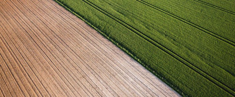 The True Cost of Disunity Among Believers