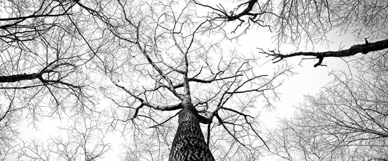 Dead Faith or Living Faith?