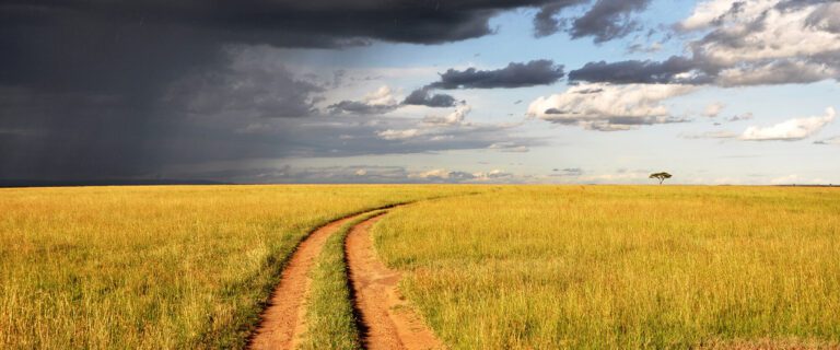 Following God's Strategy