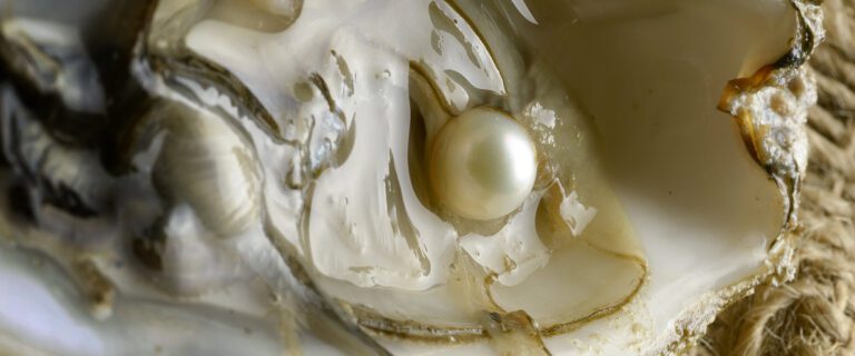 The Pearl of Great Price