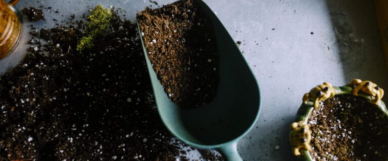 Preparing the Soil