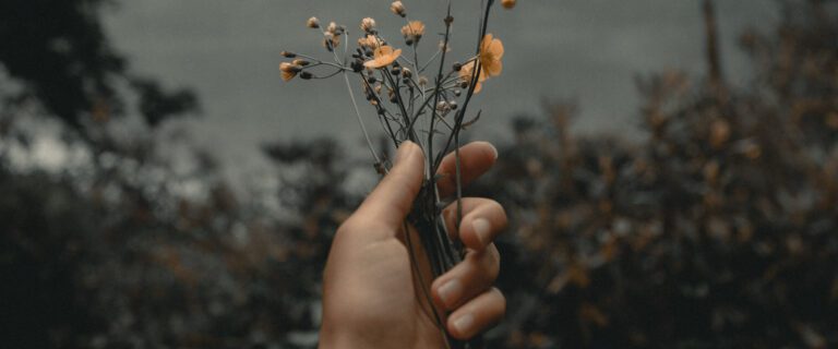 The Gift of Giving