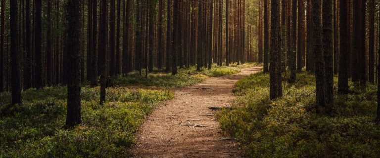 How to Flee Temptation