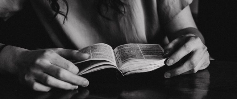 The Word of God Is a Feast