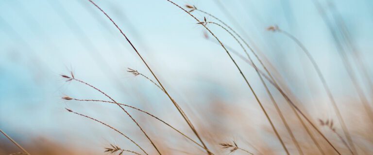 Grace and Peace