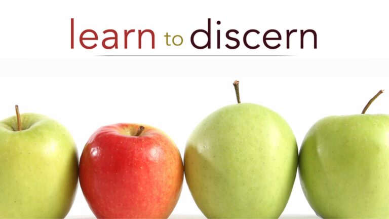 Learn to Discern