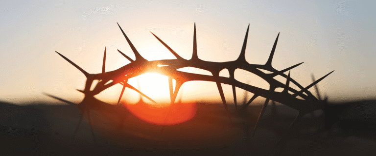 Thorn crown
