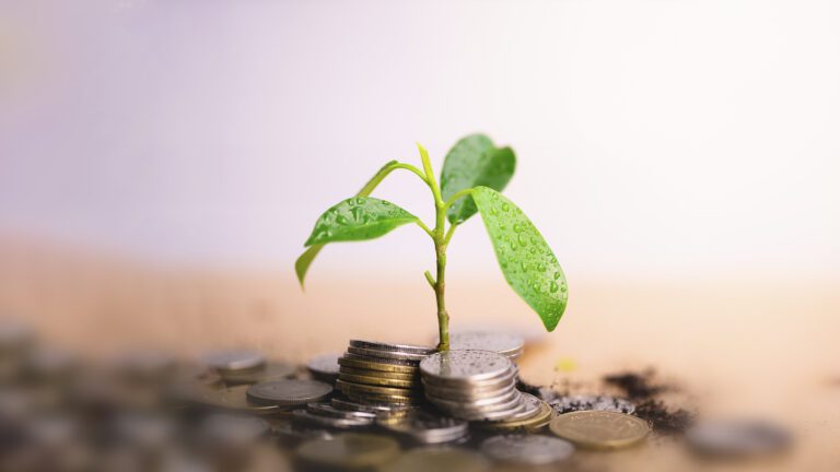What is a Charity Qualified Distribution