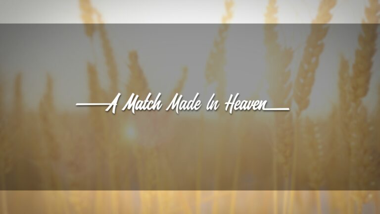 A Match Made in Heaven